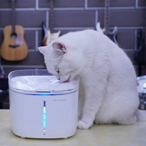 Petoneer النافورة الذكية - تقنيات المنازل الذكية للحيوانات الأليفة