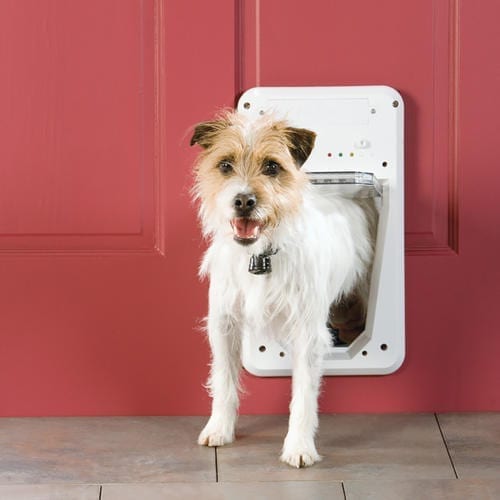 Petsafe الابواب الذكية - تقنيات المنازل الذكية للحيوانات الأليفة