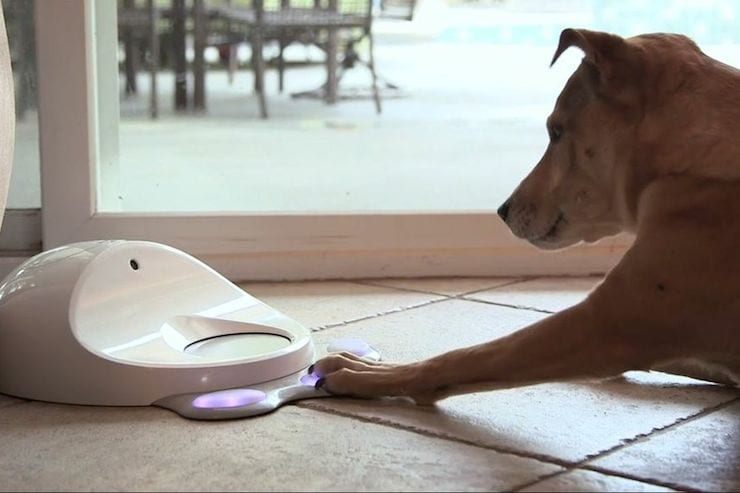 cleverpet الالعاب الذكية للحيوانات الاليفة فى المنزل الذكى