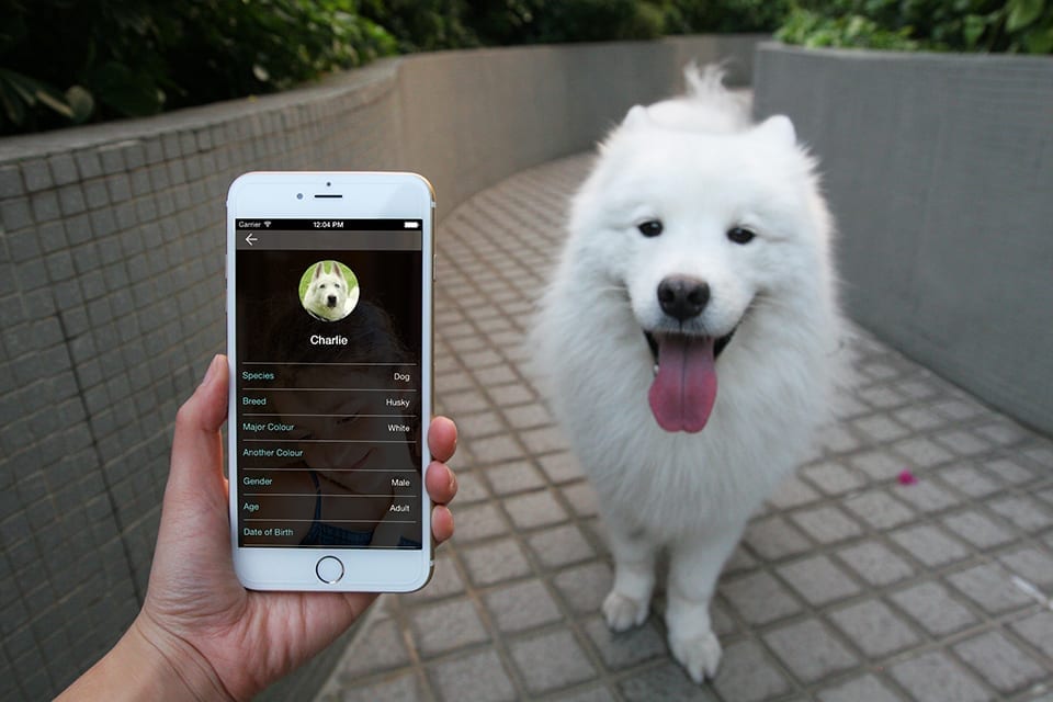 dott اجهزة تعقب الحيوانات الاليفة