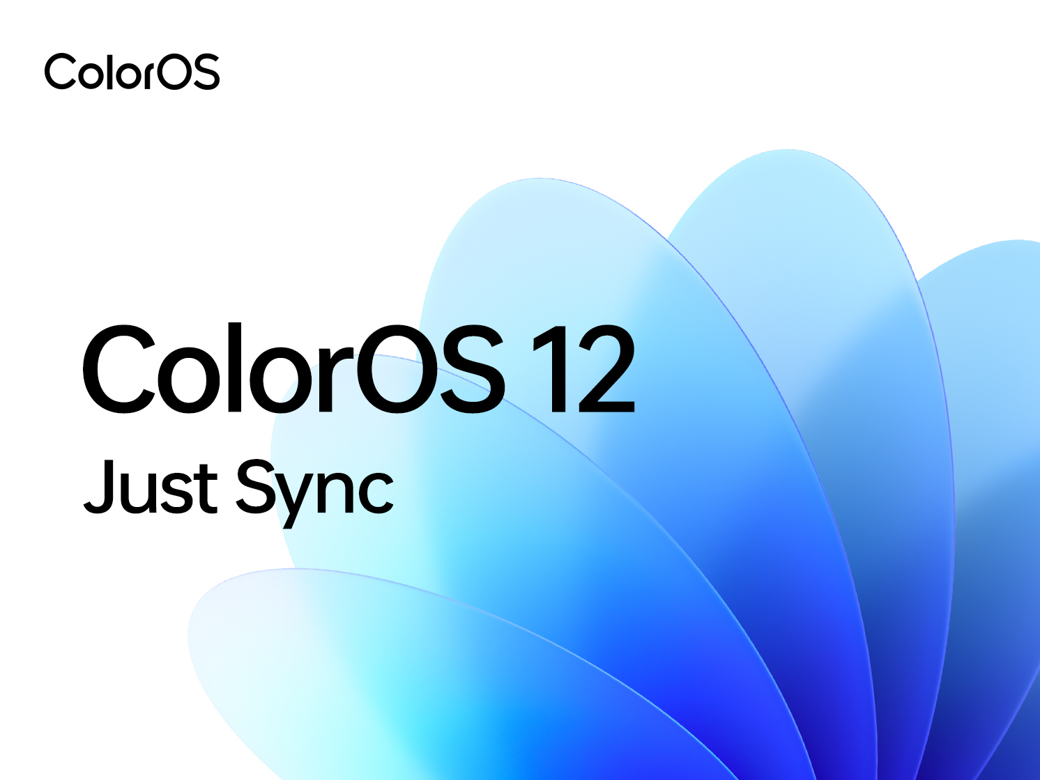 أوبو تعلن عن جدول إطلاق واجهة ColorOS 12 المحدثة